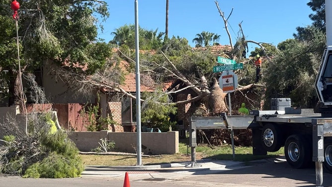 Tempe Microburst Damage