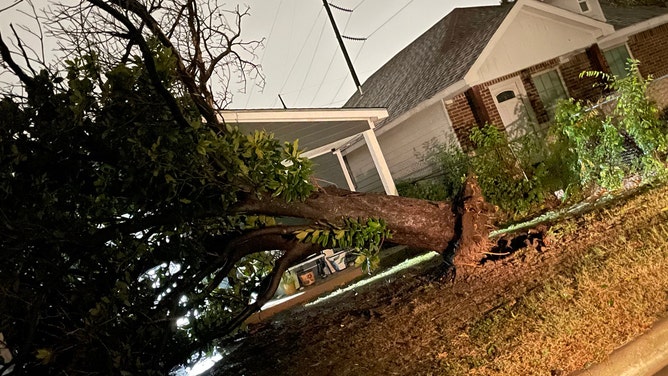 Tree damage in Fort Worth, Texas