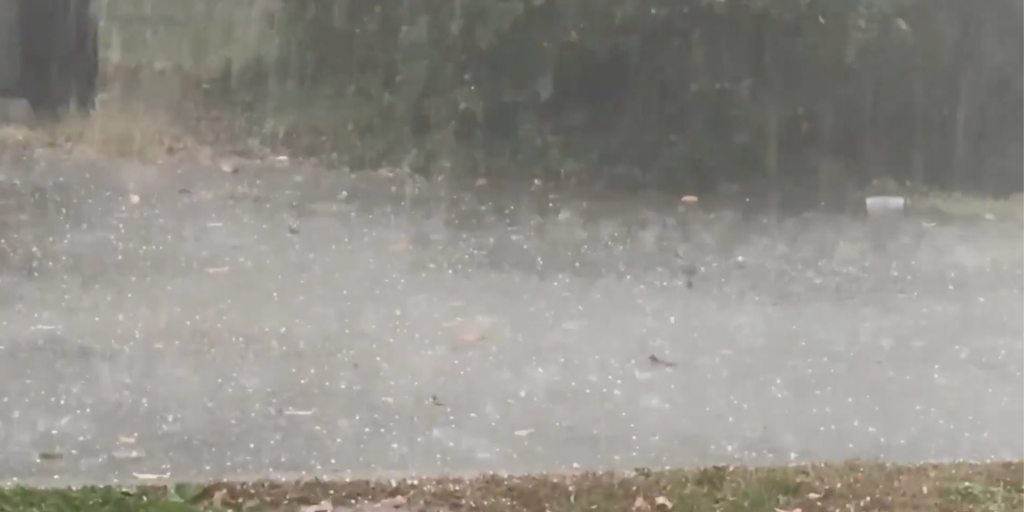 Weekend severe storms threaten millions in Southeast | Fox Weather