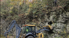 Black bear rescued after 'bear jam' forms in Great Smoky Mountain National Park