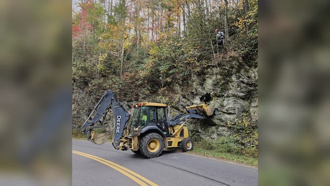 The bear was guided into the backhoe bucket.