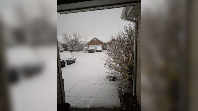 Photo shows a driveway and cars covered in snow in O'Fallon, MO. 