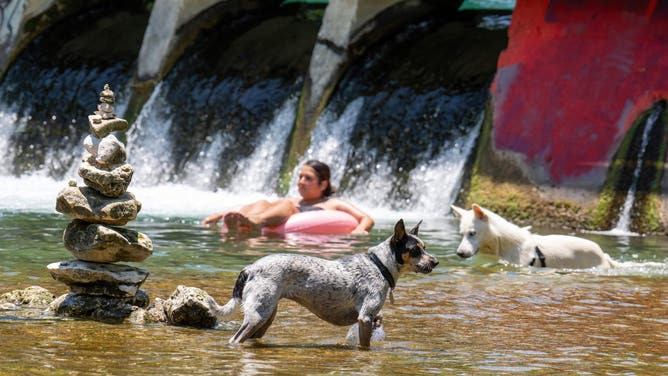 Dogs and residents enjoy water at Barton Creek Pool on June 27, 2023 in Austin, Texas. A dangerous and prolonged heat wave blanketed large parts of the southern US on Tuesday, buckling highways and forcing people into air-conditioned shelters as temperatures soared past 115 degrees Fahrenheit (46 Celsius). Excessive heat warnings were in place from Arizona in the southwest all the way to Alabama in the southeast, with south and central Texas and the Lower Mississippi Valley worst hit, the National Weather Service said.
