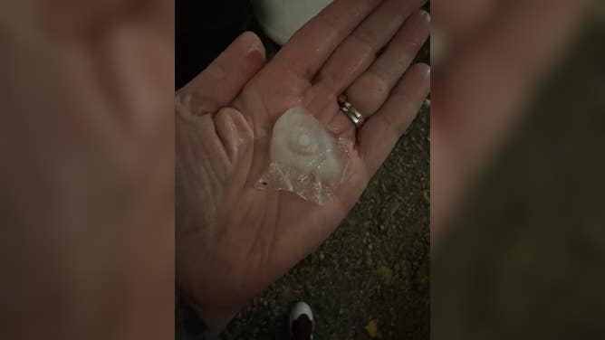 Golf ball-sized hail in Cleveland, Oklahoma retrieved during severe storms overnight Thursday.