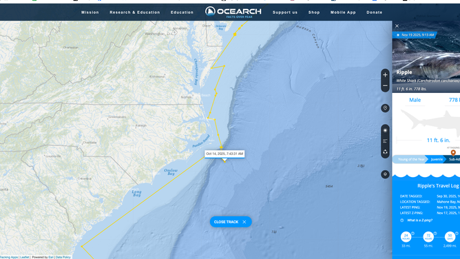 Ripple's pings around North Carolina on Oct. 12-15.