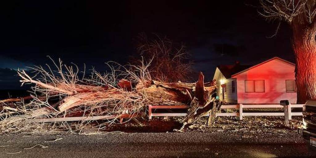 Two kids waiting for the bus critically injured due to strong winds in Idaho