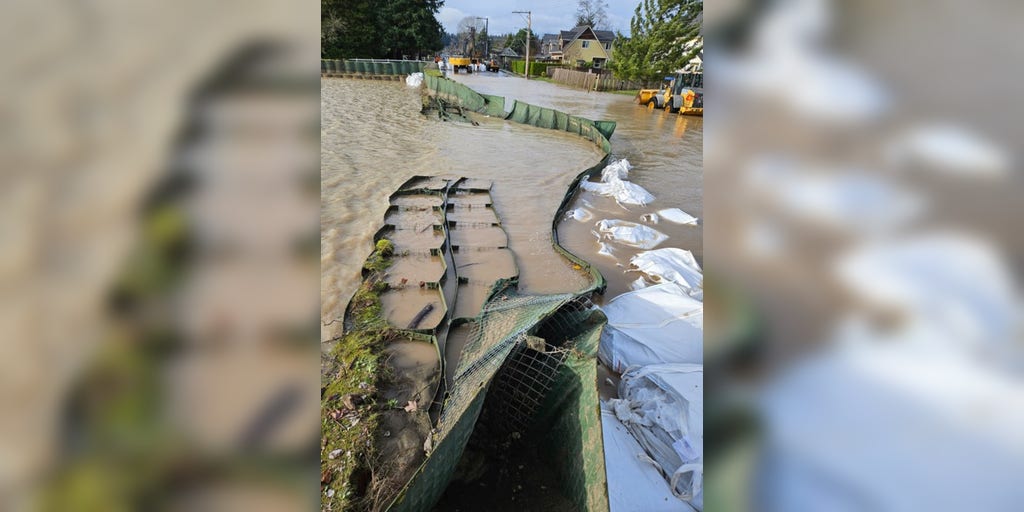 Watch: Levee failure prompts overnight evacuations, impacts hundreds of homes in Washington