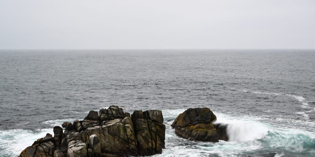 Search suspended for missing swimmer after possible shark attack in California