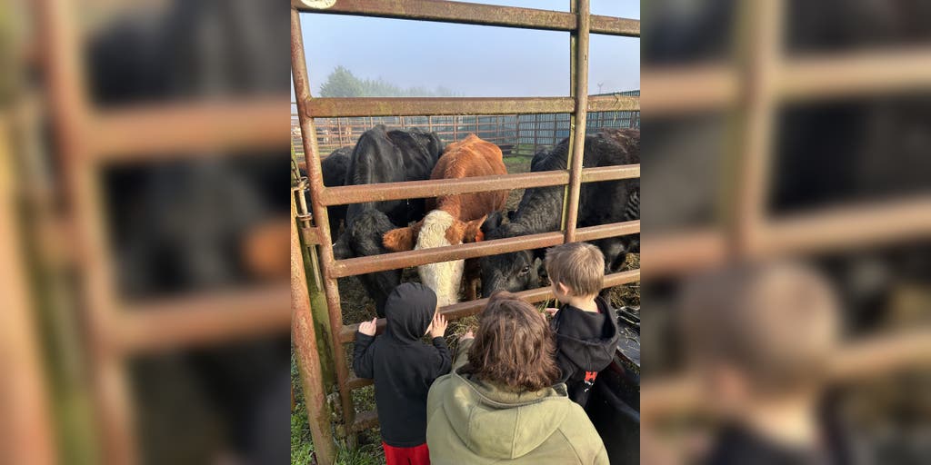 State fairground provides refuge for livestock and families as Washington combats historic flooding