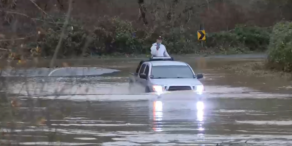 Washington state resident and her two dogs rescued from floodwaters