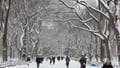 Cross-country weekend storm spares Northeast from blockbuster impacts, light snow still likely for millions - Fox News