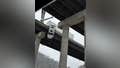 Must-watch: Truck driver rescued dangling off West Virginia highway 100-feet above the ground below - Fox News