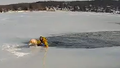 See it: Officer glides onto frozen New Jersey lake to rescue a trapped dog - Fox News