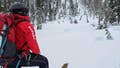 Backcountry skier survives avalanche near Mount Rose Summit following daring rescue - Fox News