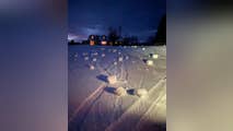 See it: Dozens of rare snow rollers appear in Michigan yard