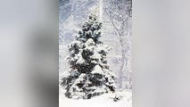 Christmas is almost here. What areas will see a White Christmas?