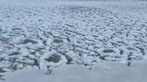 See it: Pancake ice creates rare spectacle on Lake Michigan amid frigid temperatures