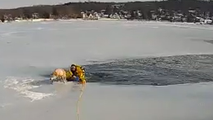 See it: Officer glides onto frozen New Jersey lake to rescue a trapped dog