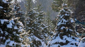 Outlook: What are the chances of a white Christmas around the country?