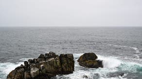 Search suspended for missing swimmer after possible shark attack in California