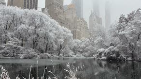 See it: Parts of the Northeastern US transformed into a winter wonderland