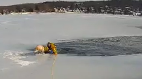 See it: Officer glides onto frozen New Jersey lake to rescue a trapped dog