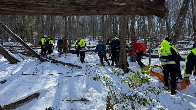 A plethora of agencies work to locate a missing hiker after texting 911 for assistance.