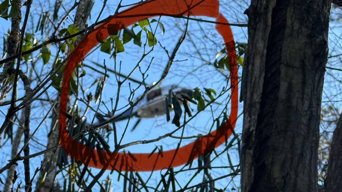 An aviation unit from the Virginia State Police attempts to locate and hoist an injured hiker from the woods.