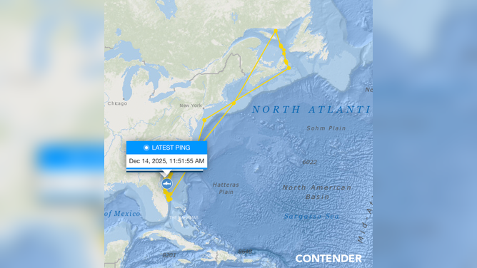 Contender's most recent ping off the coast of Jacksonville, Florida, on OCEARCH's shark tracker.