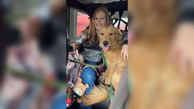 Crockett, an Everett Animal Shelter dog, in temporary foster.