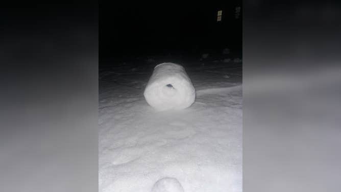 Snow rollers are a rare phenomenon that only happen when weather conditions are just perfect.