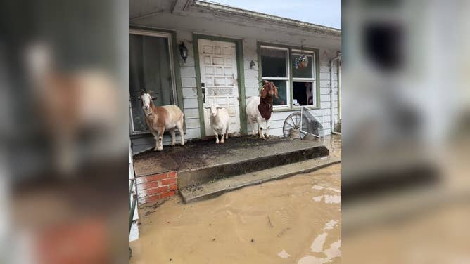 Widespread flooding across Humboldt County, California, Sunday, Dec. 21, 2025.