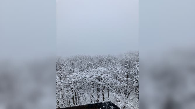 Snow blankets Roanoke, Virginia on Friday, Dec. 5, 2025.