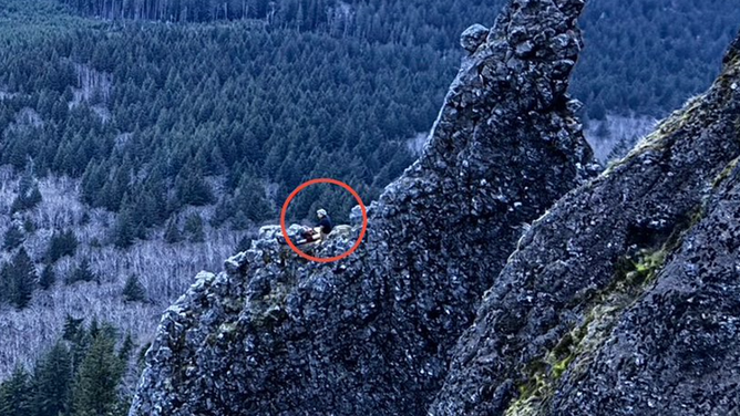 Stranded hiker located sitting on top of a rock in an Oregon mountain.