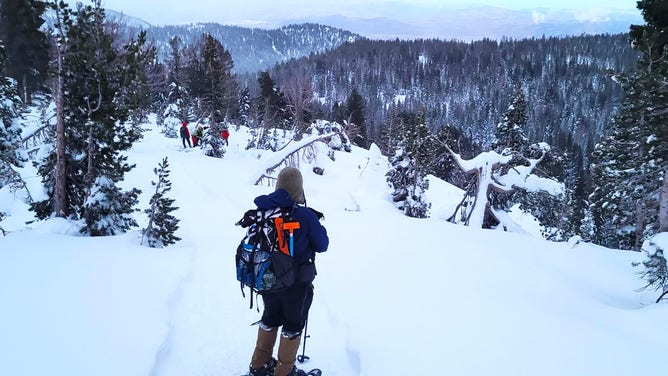 Rescue teams respond to a backcountry skier partially buried in an avalanche near Mount Rose Summit, Nevada.