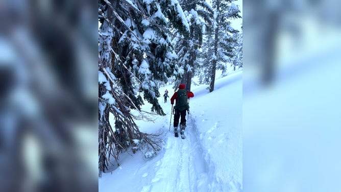 Emergency response teams search for a skier partially buried in an avalanche in Mount Rose Summit, Nevada.