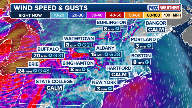 Wind gusts and speeds right now across the Northeast