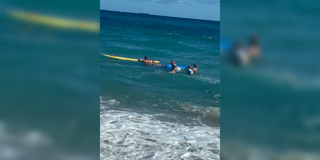 Video: Paraglider falls from the sky in unexpected turn of events in Florida