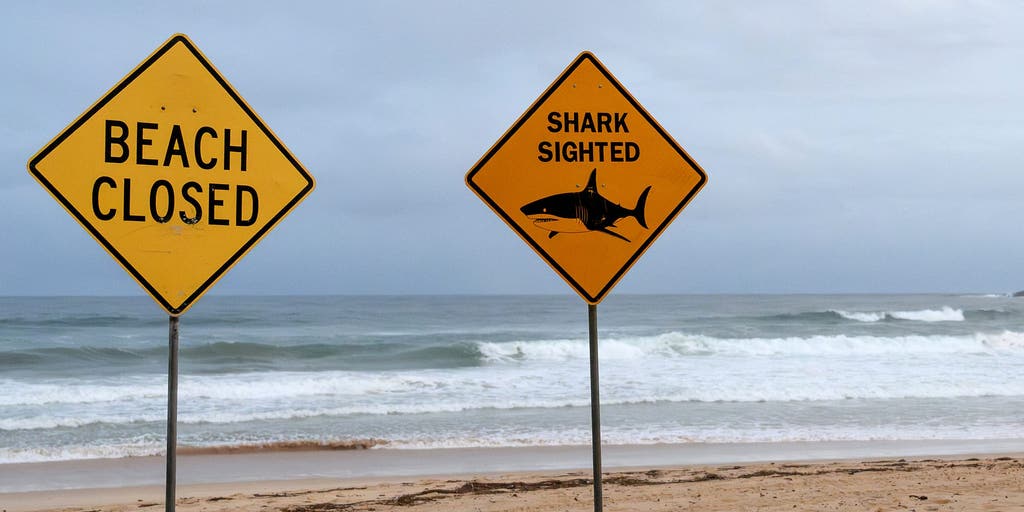 Surfer injured in fourth shark attack in 48 hours, closing beaches near major Australia city