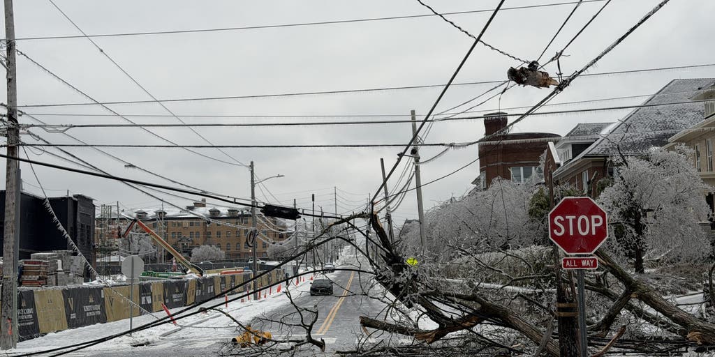 Must-see photos: Crippling ice in Nashville destroys power lines, snaps trees during catastrophic winter storm