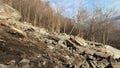 Rockslide closes cliff trail overlooking New York City in New Jersey park - Fox News