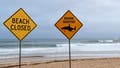 Shark attack leaves woman critically injured amid series of encounters in Australia - Fox News