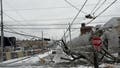 Must-see photos: Crippling ice in Nashville destroys power lines, snaps trees during catastrophic winter storm - Fox News
