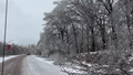 Mississippi paralyzed by large-scale power outages, life-threatening ice as arctic air could slow recovery - Fox News