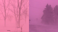 Why did the sky turn pink during a recent winter storm in Iowa? - Fox News