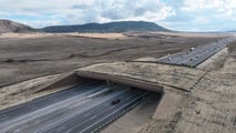 First-of-its-kind overpass aims to stop animal-vehicle crashes in Colorado