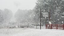 Potential for major winter storm brewing across the South from Texas to Southeast coast by late week
