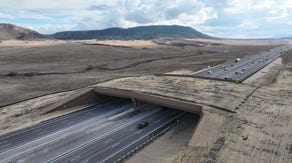 First-of-its-kind overpass aims to stop animal-vehicle crashes in Colorado