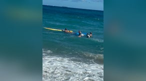 Video: Paraglider falls from the sky in unexpected turn of events in Florida