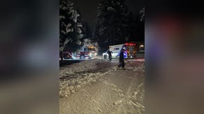 Heroic firefighters shovel snow-covered driveway to help elderly couple in Washington